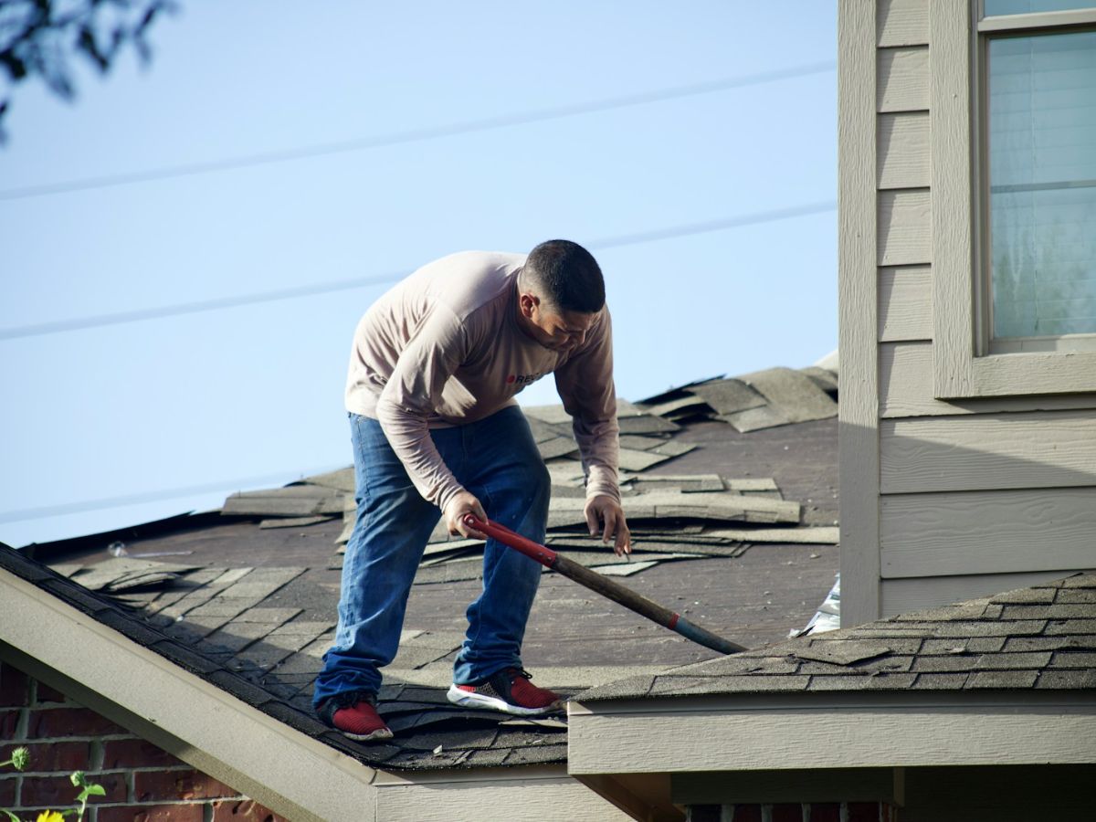 A roof with the old shingle stripped back